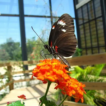 Casa Da Aldeia Hébergement de vacances