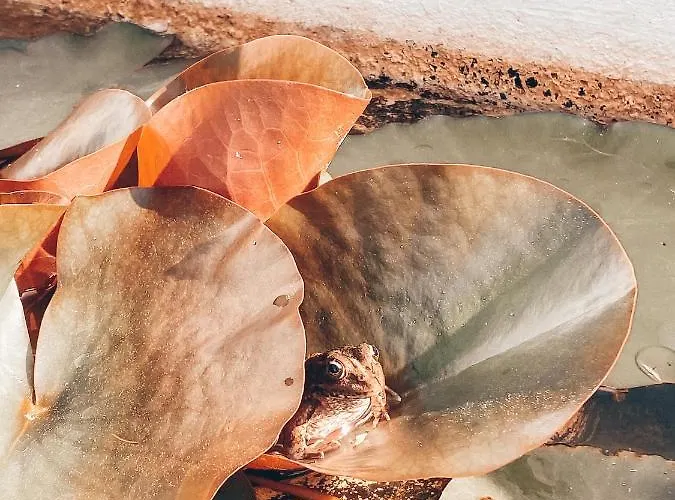 Holiday home Casa Da Aldeia Constancia