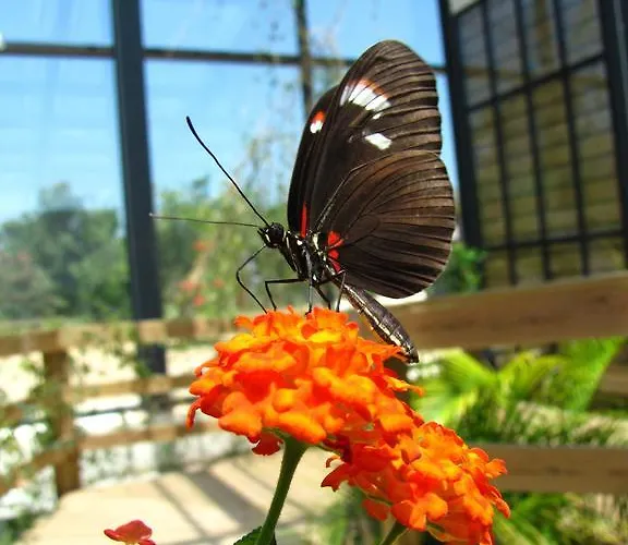 Casa Da Aldeia Holiday home